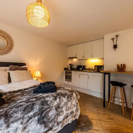 Lovly Cozy Chamia Daire Zermatt